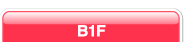 B1F