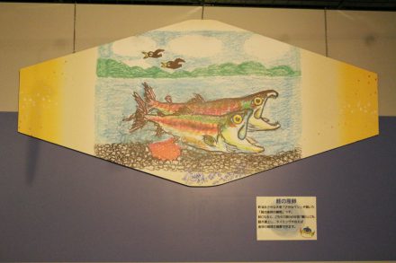 さかなクンのイラストパネルを設置しました イヨボヤ会館 日本で最初の鮭の博物館