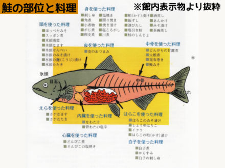 敬老の日 イヨボヤ会館 日本で最初の鮭の博物館 敬老の日 イヨボヤ会館 日本で最初の鮭の博物館