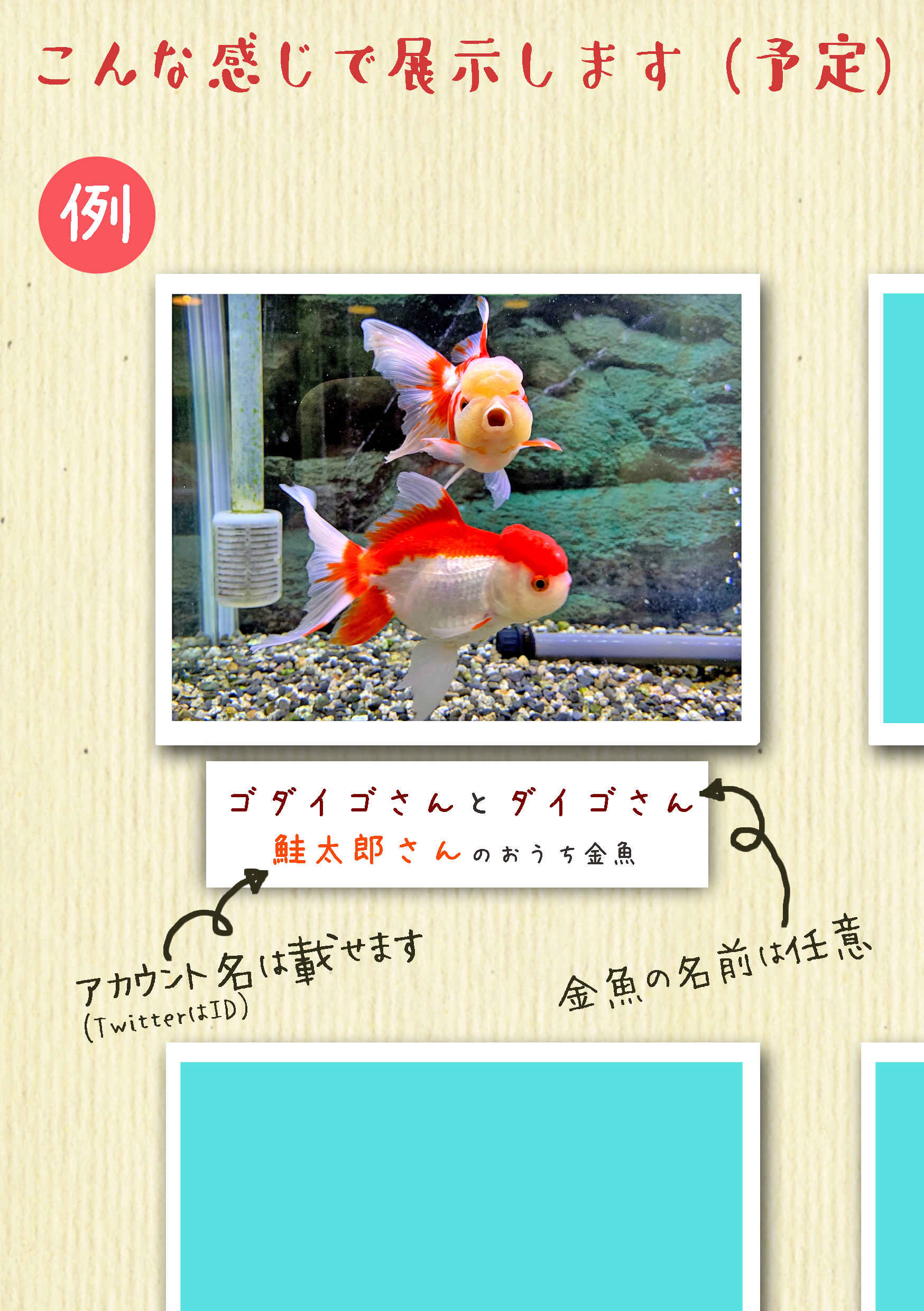 特別展 身近な金魚展 イヨボヤ会館 日本で最初の鮭の博物館