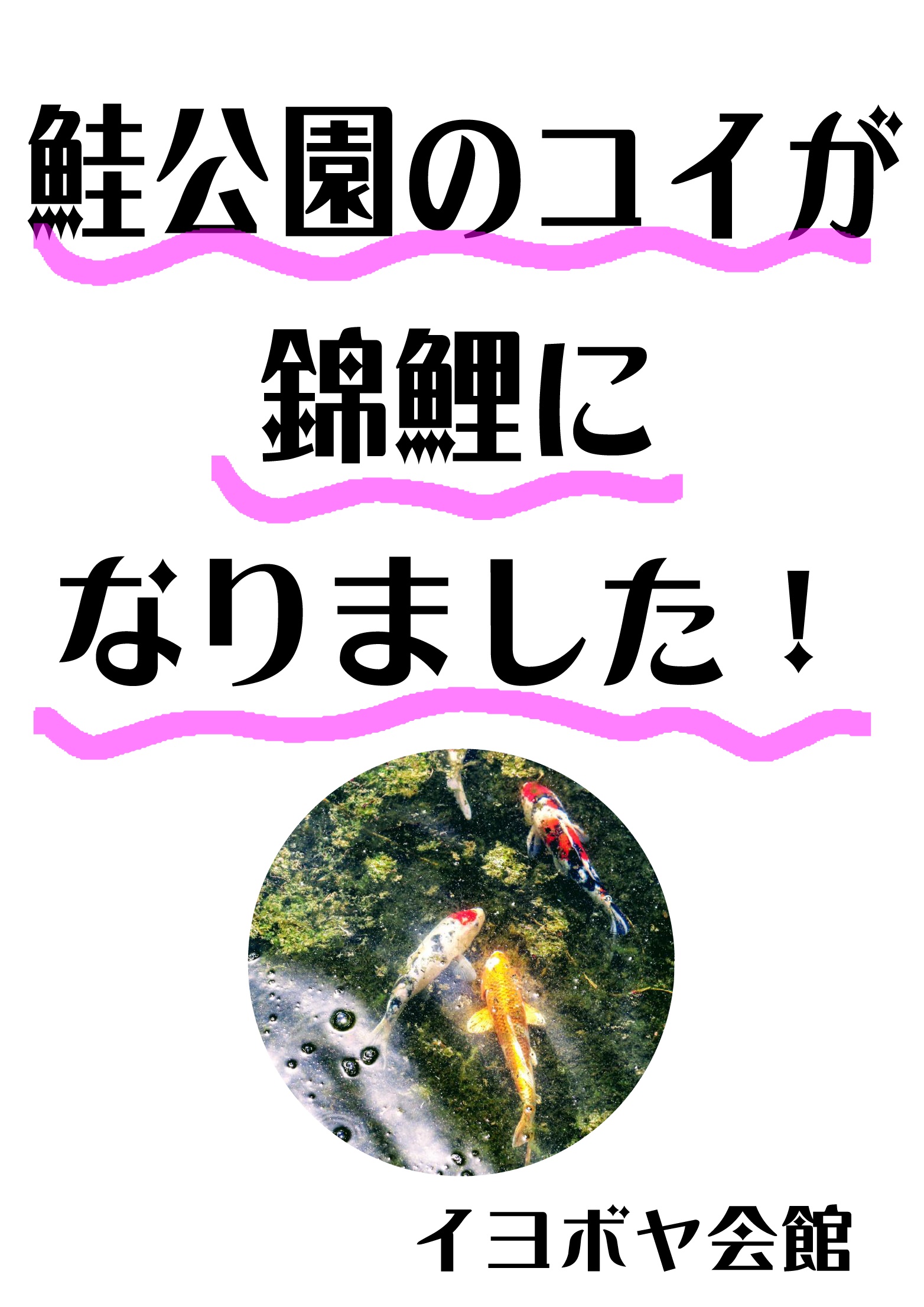鮭公園のコイが錦鯉になりました イヨボヤ会館 日本で最初の鮭の博物館