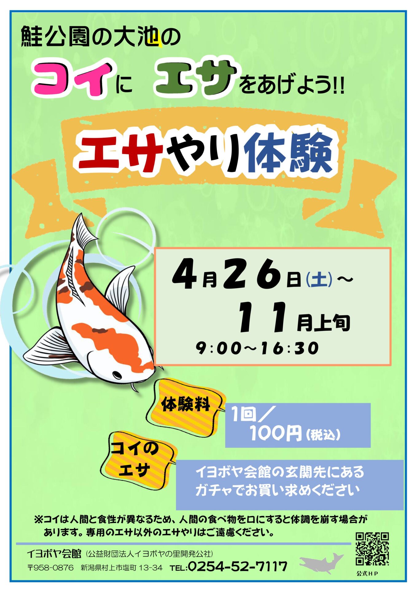 コイにエサやり体験 | イヨボヤ会館 - 日本で最初の鮭の博物館